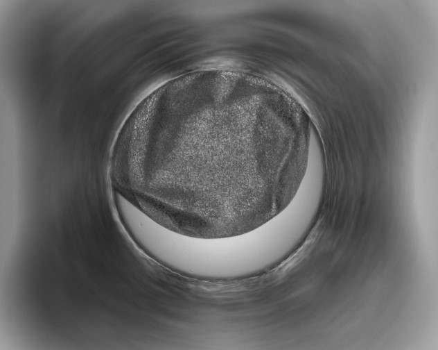 X0000095951434200802011053