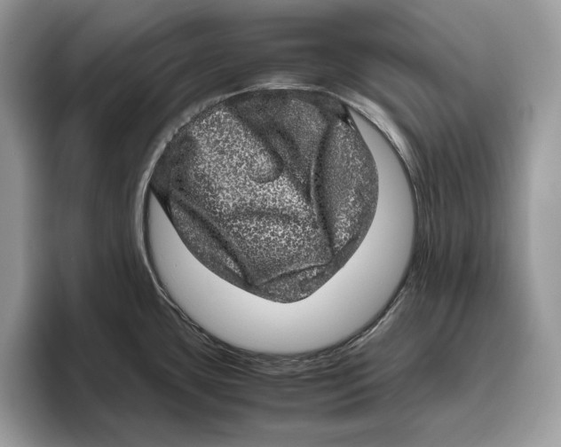 X0000095951435200802011053