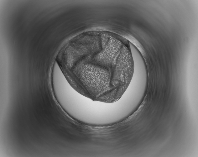 X0000095951436200802011053