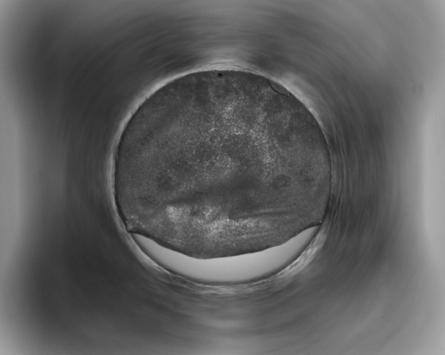 X0000095951438200802011053