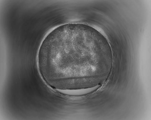 X0000095951440200802011053