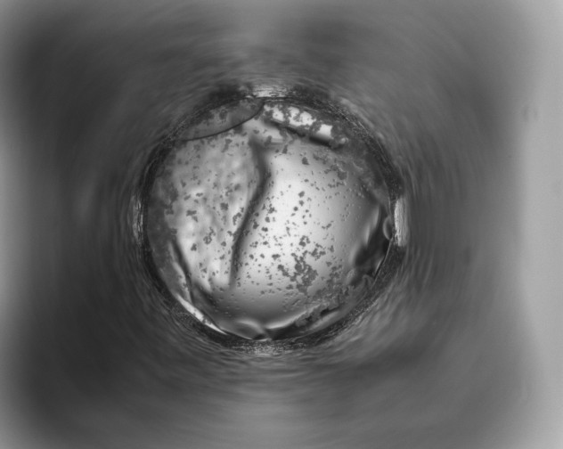 X0000095951443200802011052