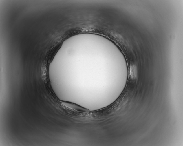 X0000095951444200802011052