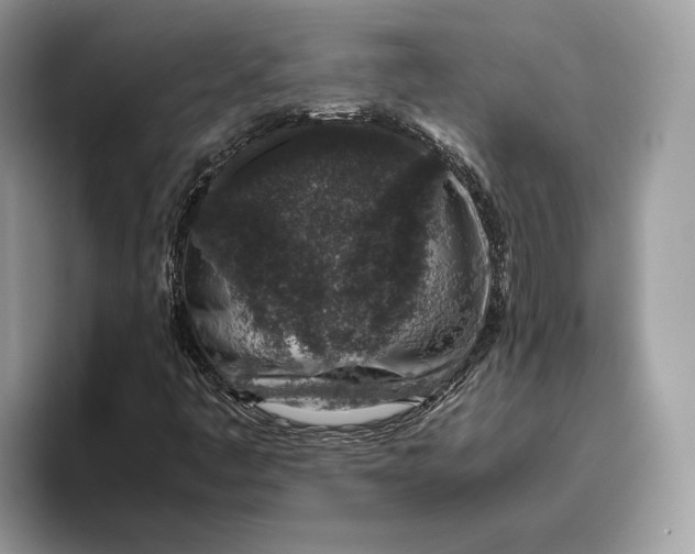 X0000095951445200802011052