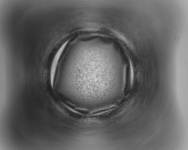 X0000095951448200802011052