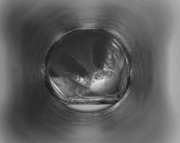 X0000095951449200802011052