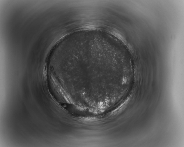 X0000095951450200802011052