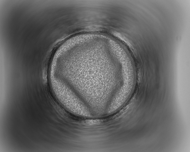 X0000095951451200802011052