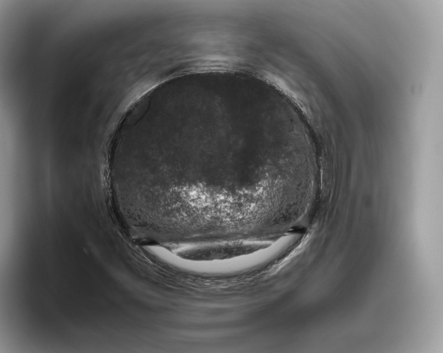 X0000095951453200802011052