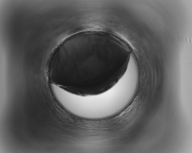 X0000095951455200802011052