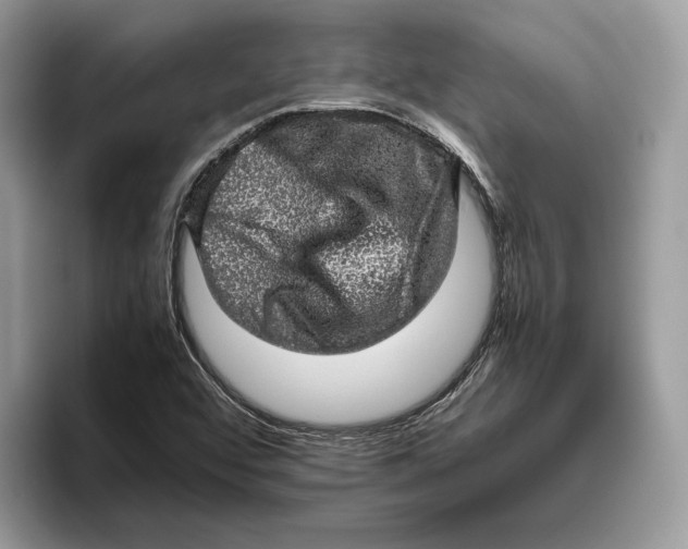 X0000095951456200802011052