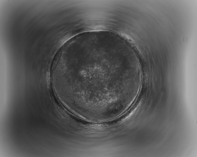 X0000095951457200802011052