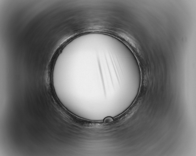 X0000095951458200802011052