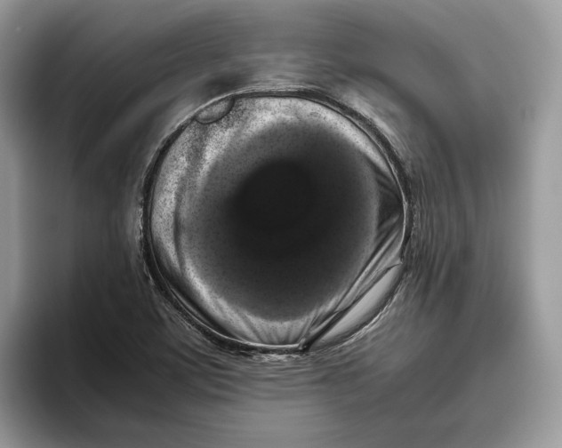 X0000095951459200802011052