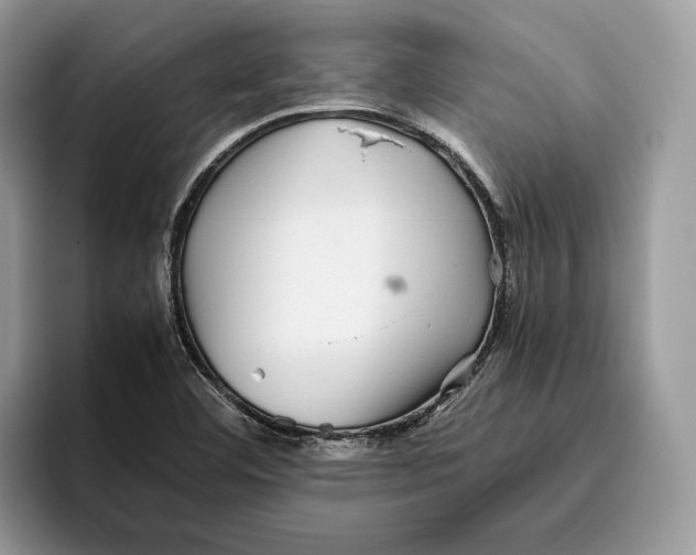 X0000095951460200802011052