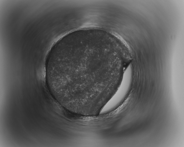 X0000095951461200802011052