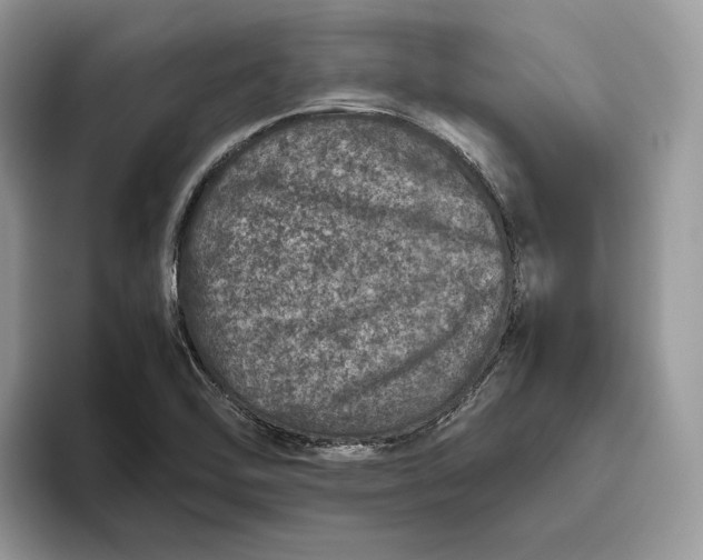 X0000095951462200802011052