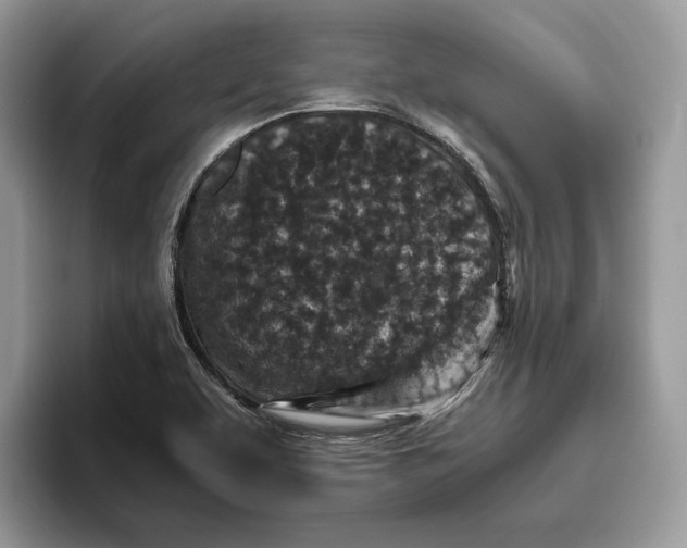 X0000095951463200802011052