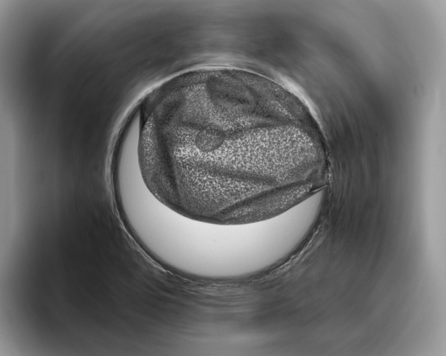 X0000095951464200802011052