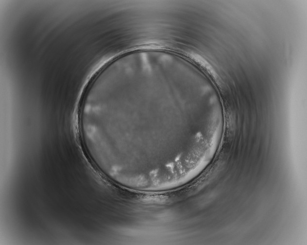 X0000095951466200802011052