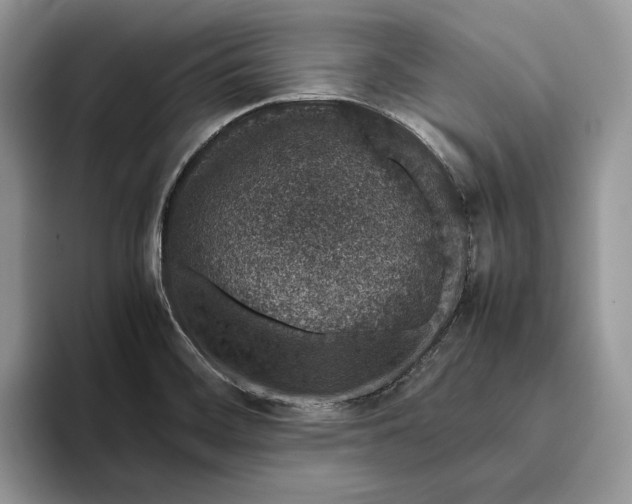 X0000095951468200802011052