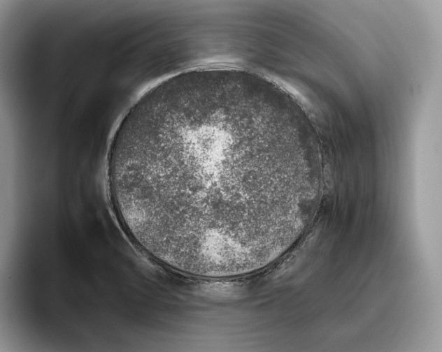 X0000095951470200802011052