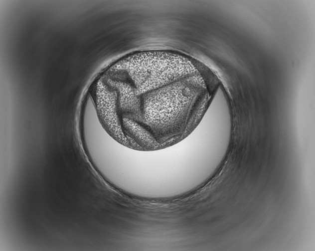 X0000095951472200802011052