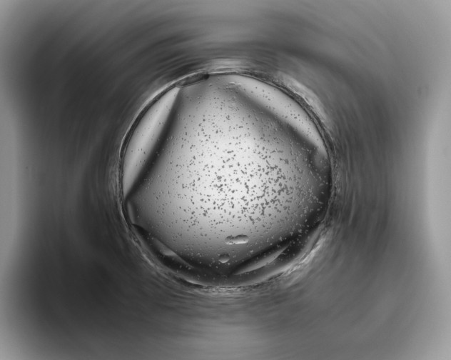 X0000095951473200802011052