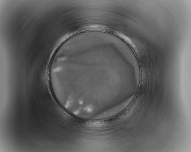 X0000095951474200802011052