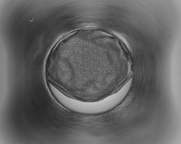 X0000095951475200802011052