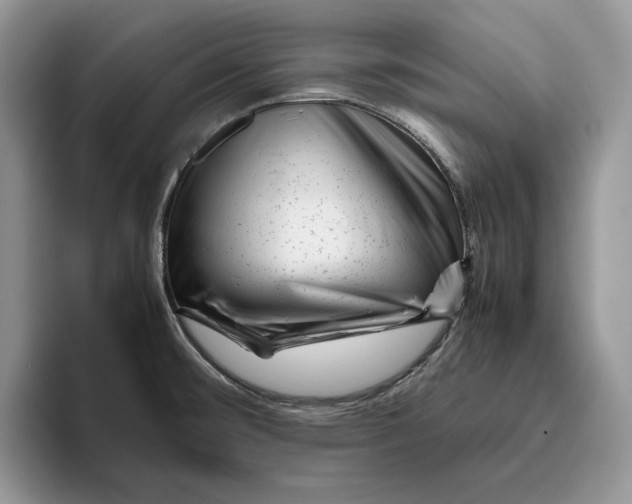 X0000095951476200802011052