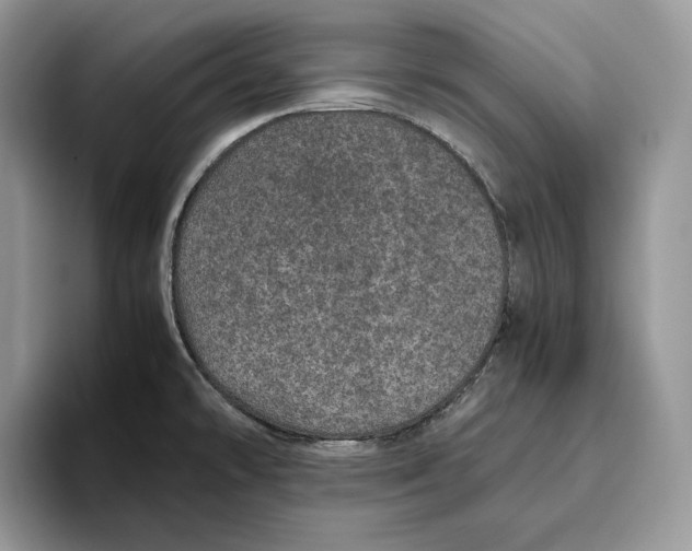 X0000095951478200802011052