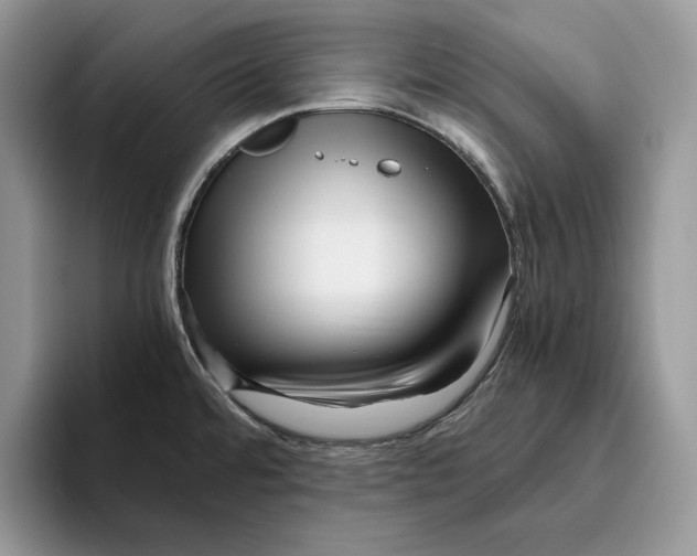 X0000095951480200802011052