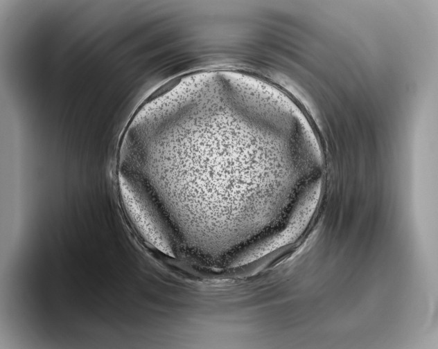 X0000095951481200802011051