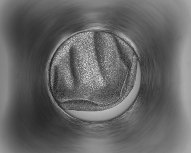 X0000095951483200802011051