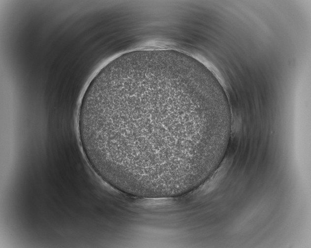 X0000095951486200802011051