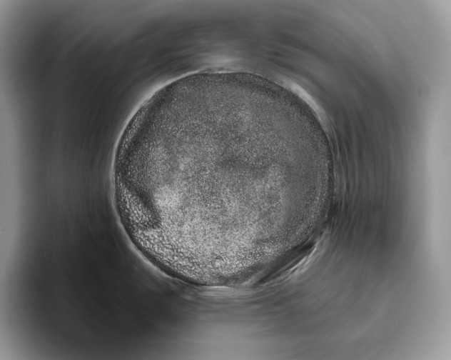 X0000095951487200802011051