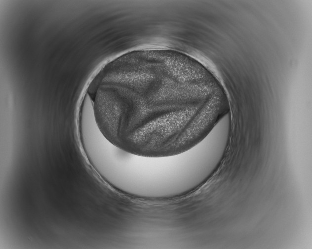 X0000095951488200802011051