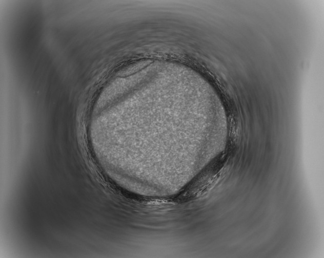 X0000095951489200802011051