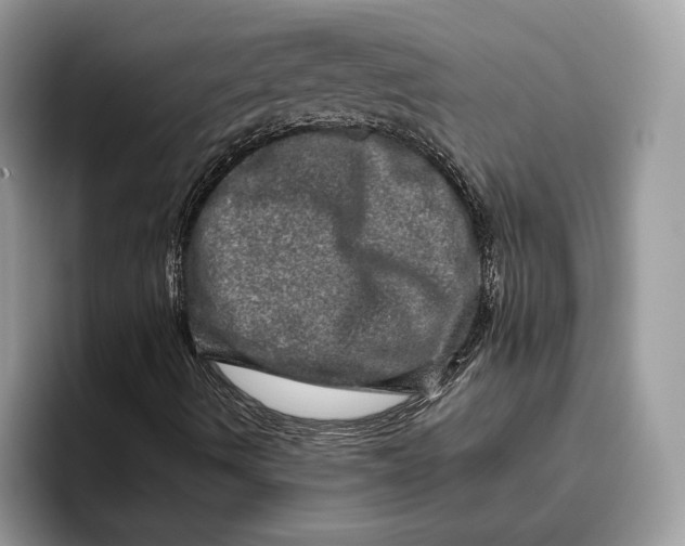 X0000095951490200802011051