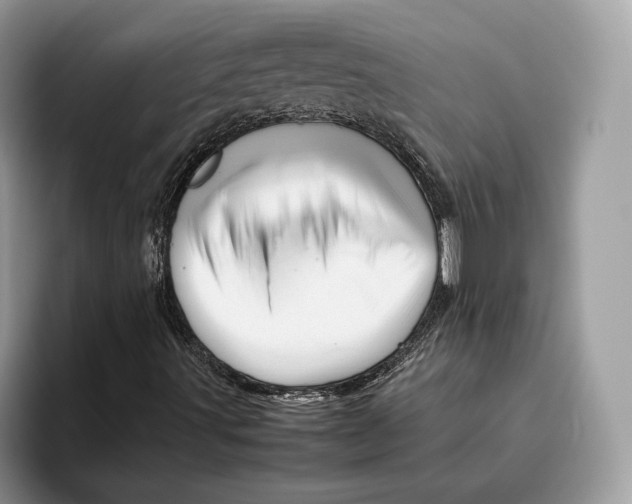 X0000095951491200802011051