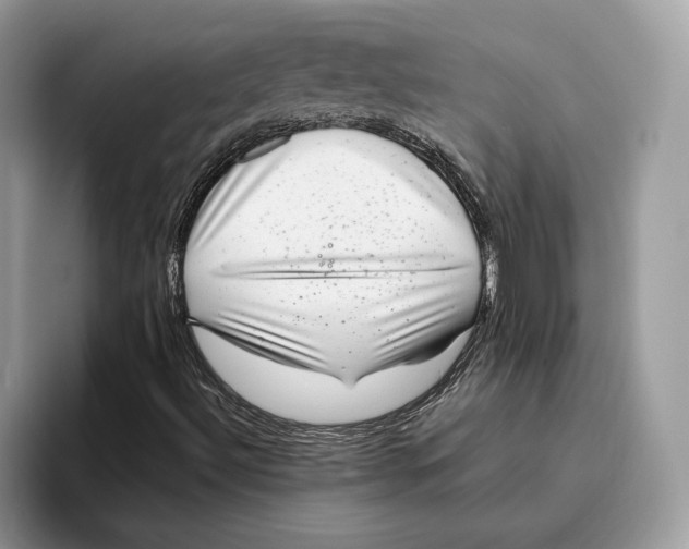 X0000095951492200802011051