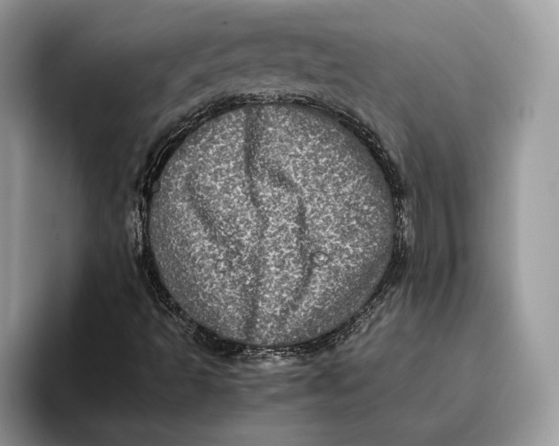 X0000095951493200802011051