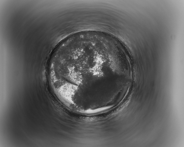 X0000095951497200802011051