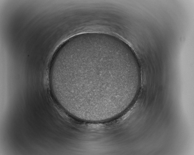 X0000095951498200802011051