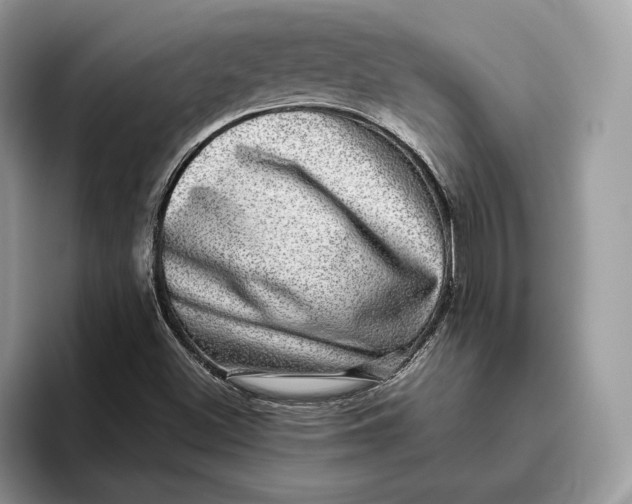 X0000095951500200802011051