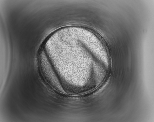 X0000095951501200802011051