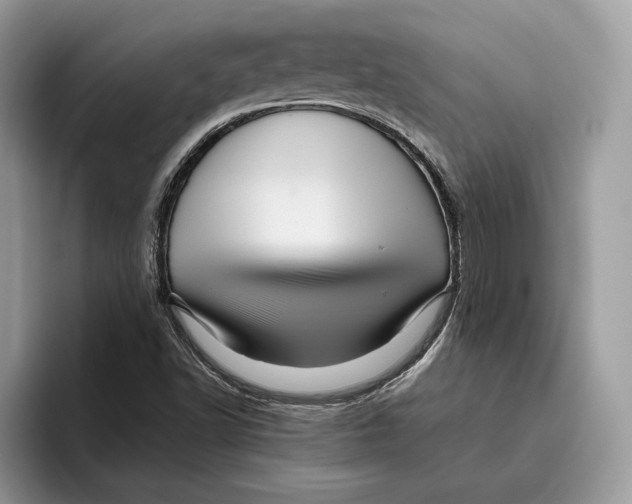 X0000095951502200802011051