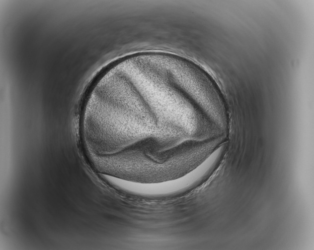 X0000095951503200802011051