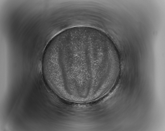 X0000095951505200802011051